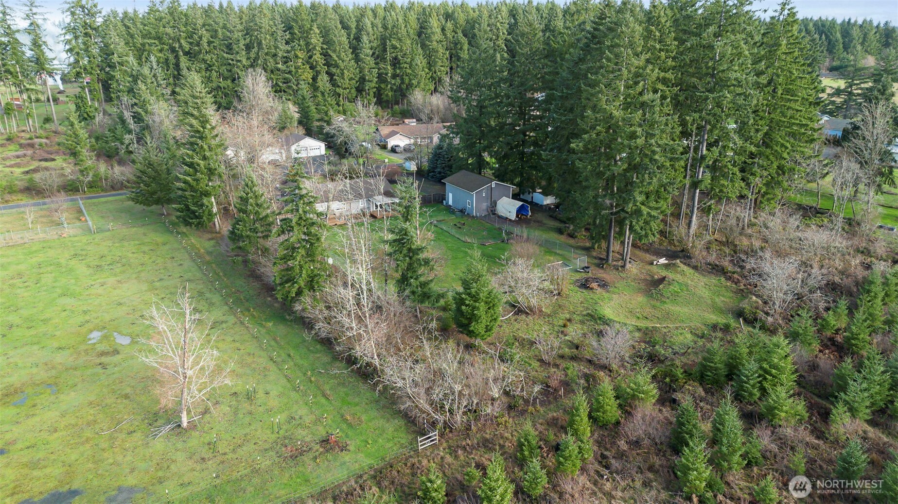 126 Bethany Lane Winlock, WA 98596 - Photo 35 of 37 a view of a forest with a yard