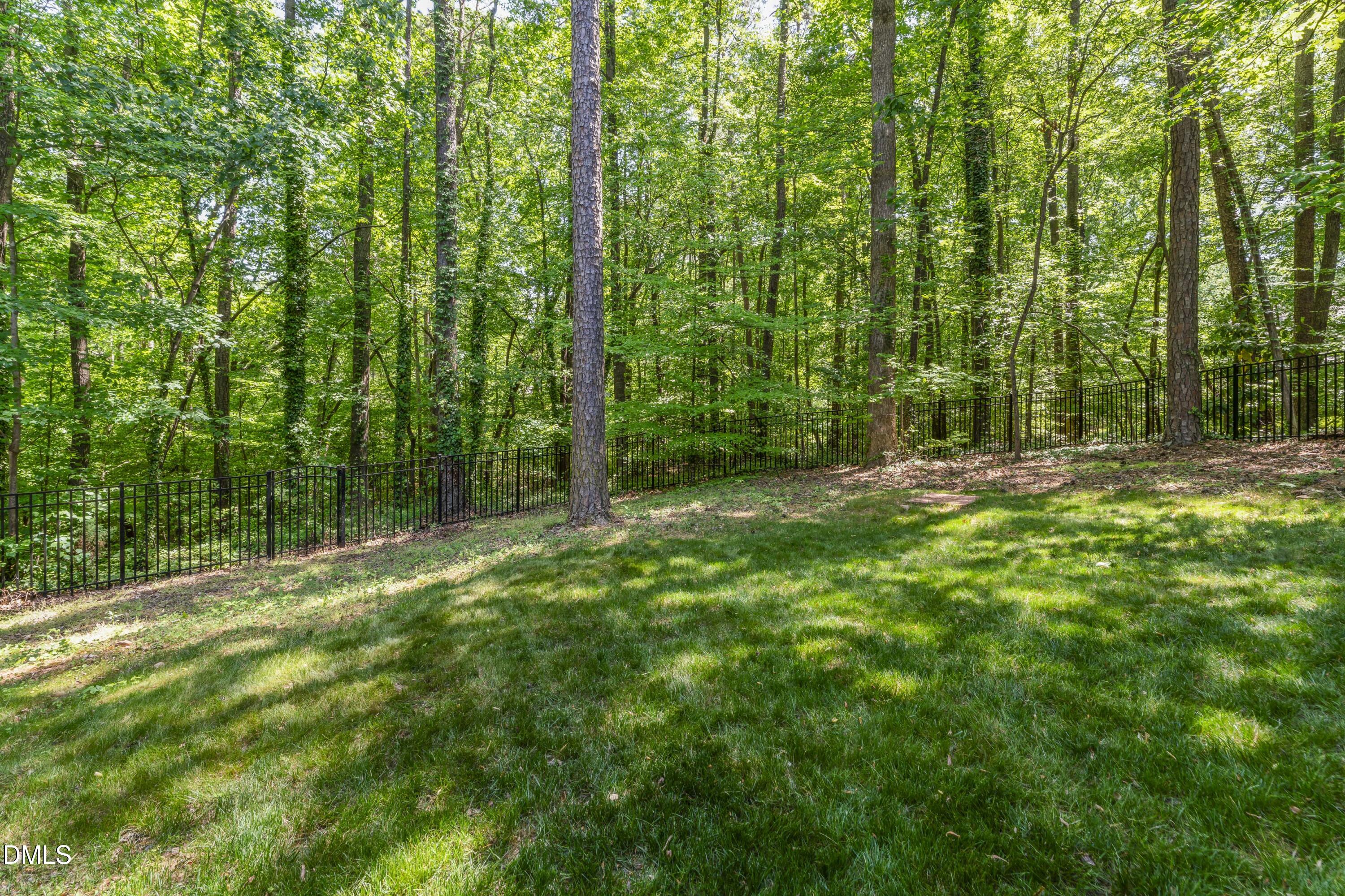 1101 Winterwind Place Raleigh, NC 27615 - Photo 38 of 42 photos_high_resolution_DSC06430