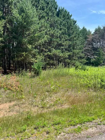 $75,000 | Tbd Thomas Drive, Little Falls, MN 56345