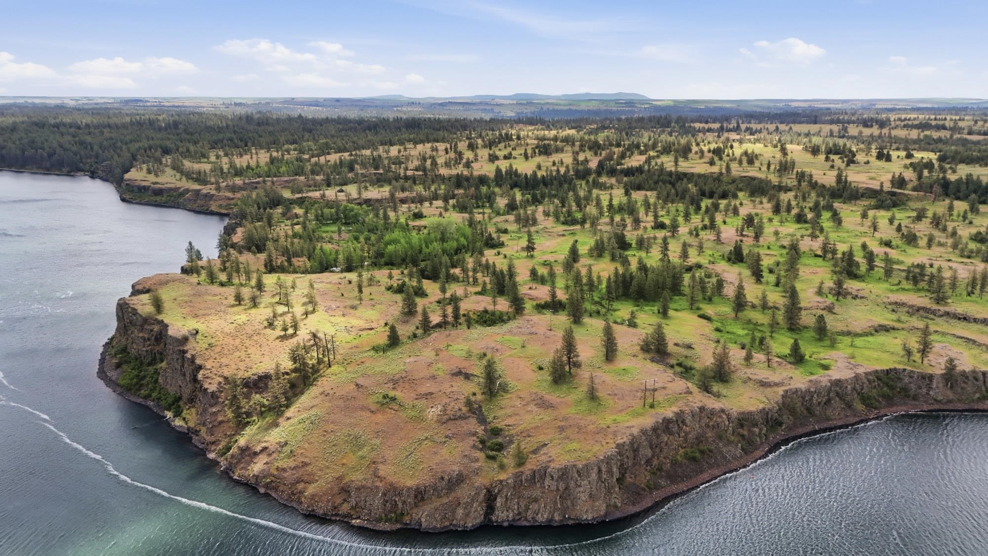 Tbd West Williams Lake Road Cheney, WA 99004 - Photo 1 of 23