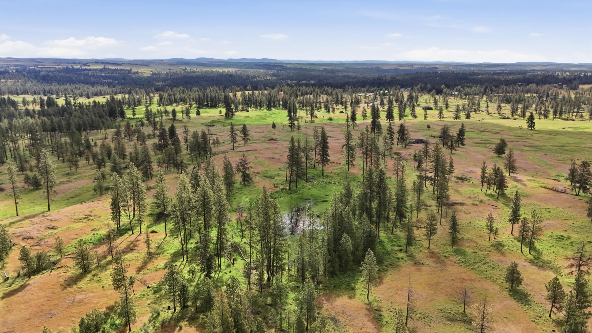 Tbd West Williams Lake Road Cheney, WA 99004 - Photo 11 of 23