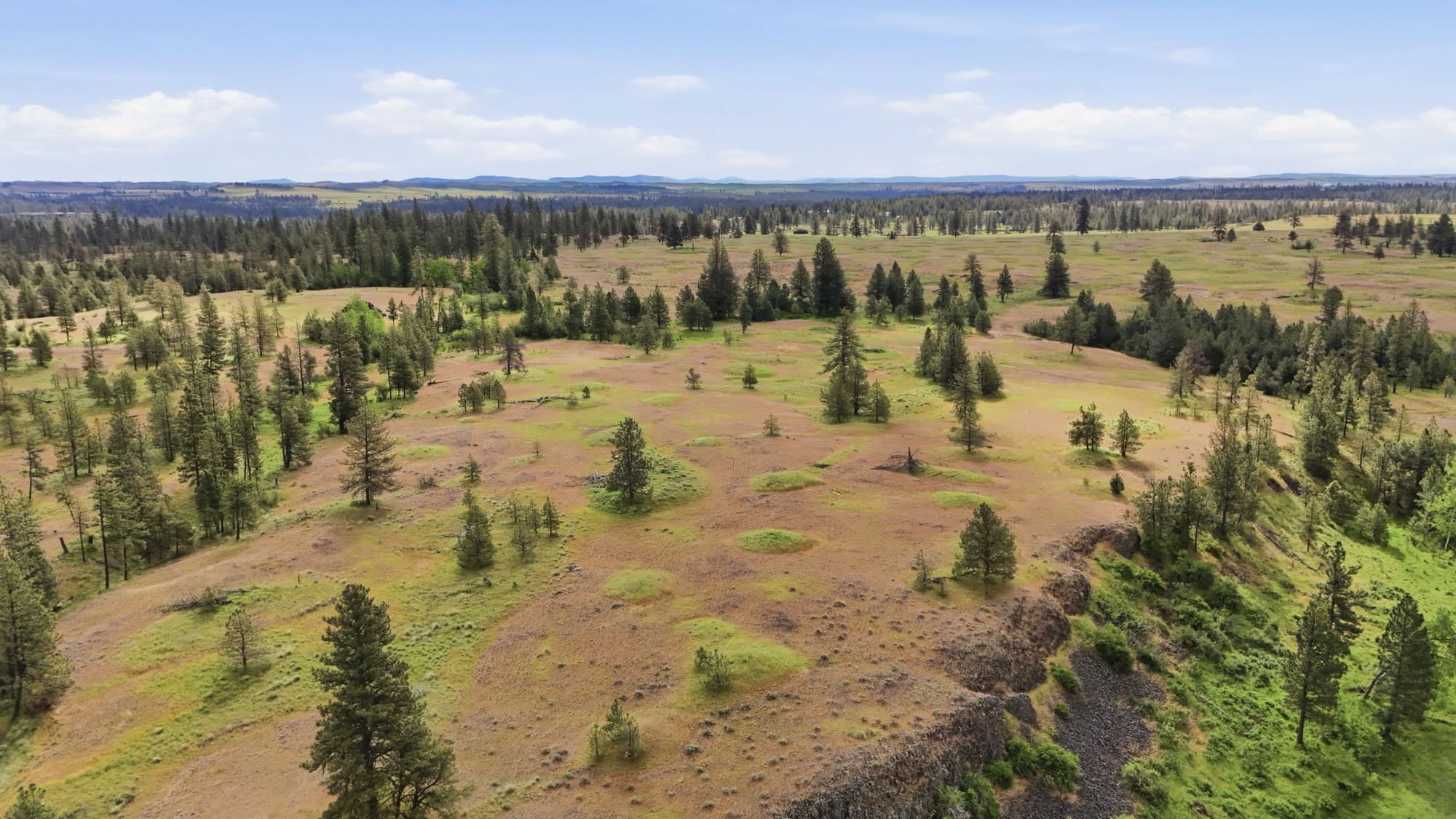 Tbd West Williams Lake Road Cheney, WA 99004 - Photo 12 of 23