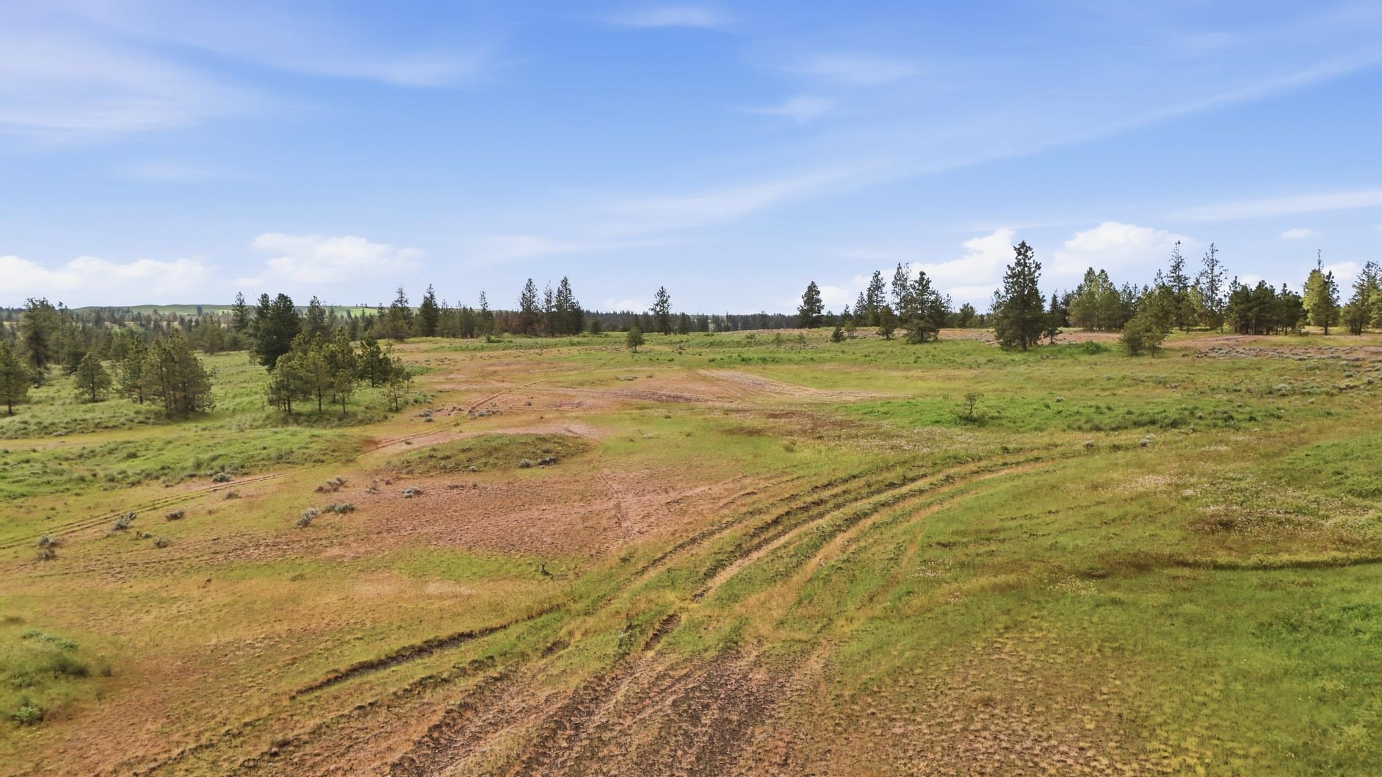 Tbd West Williams Lake Road Cheney, WA 99004 - Photo 15 of 23