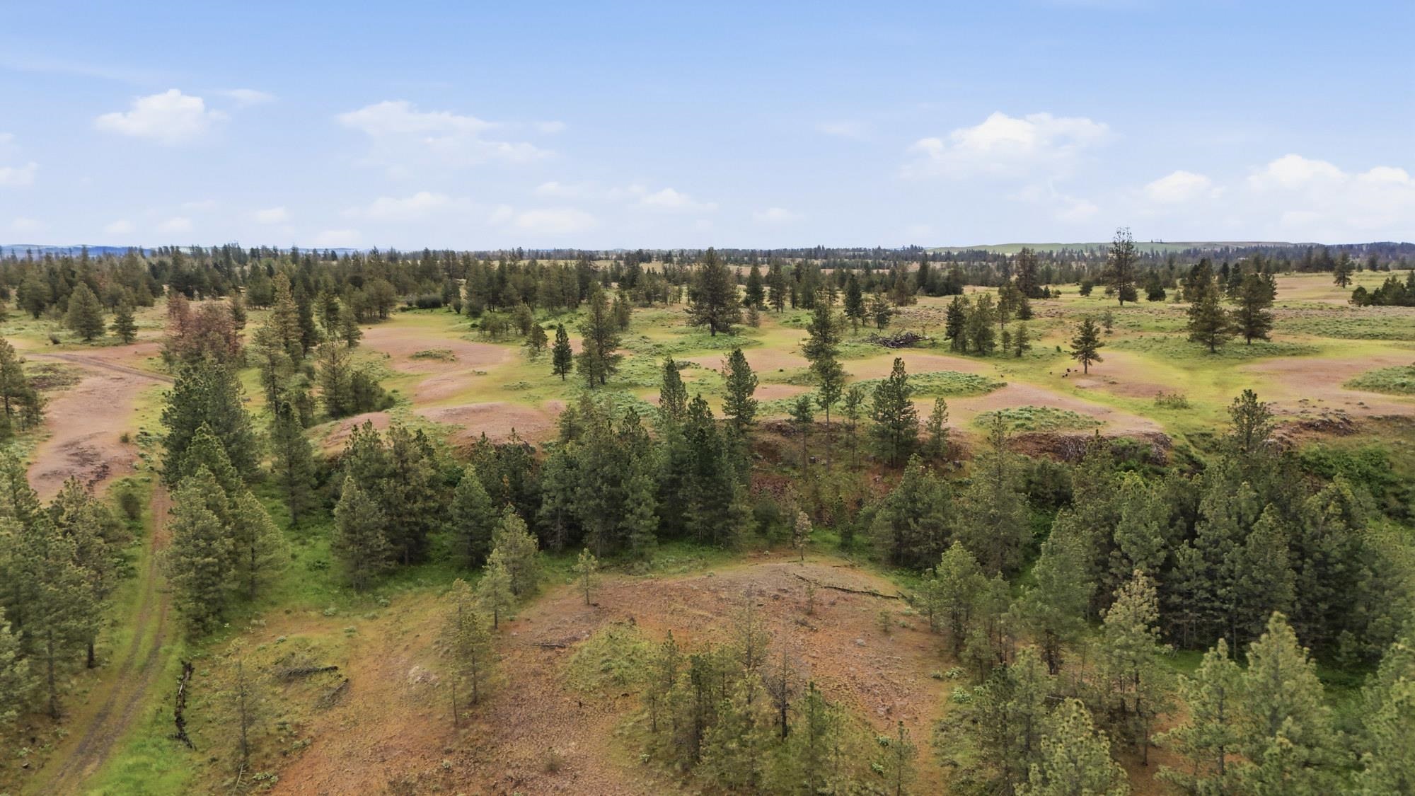 Tbd West Williams Lake Road Cheney, WA 99004 - Photo 16 of 23