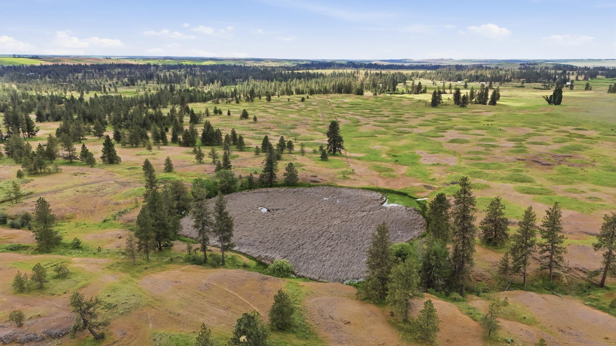 Tbd West Williams Lake Road Cheney, WA 99004 - Photo 18 of 23