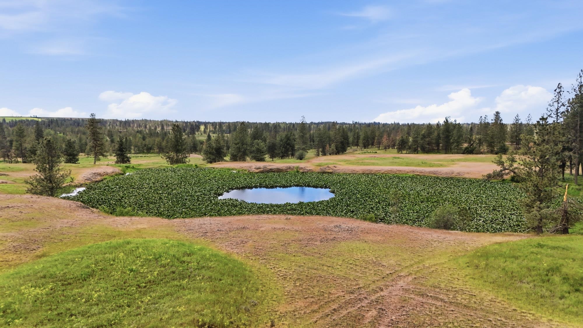 Tbd West Williams Lake Road Cheney, WA 99004 - Photo 20 of 23
