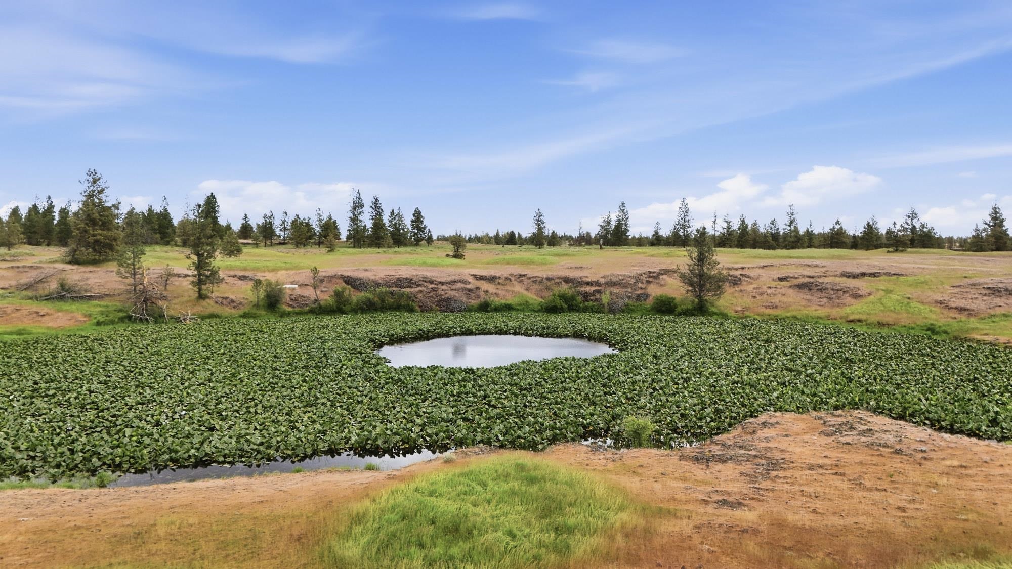 Tbd West Williams Lake Road Cheney, WA 99004 - Photo 21 of 23