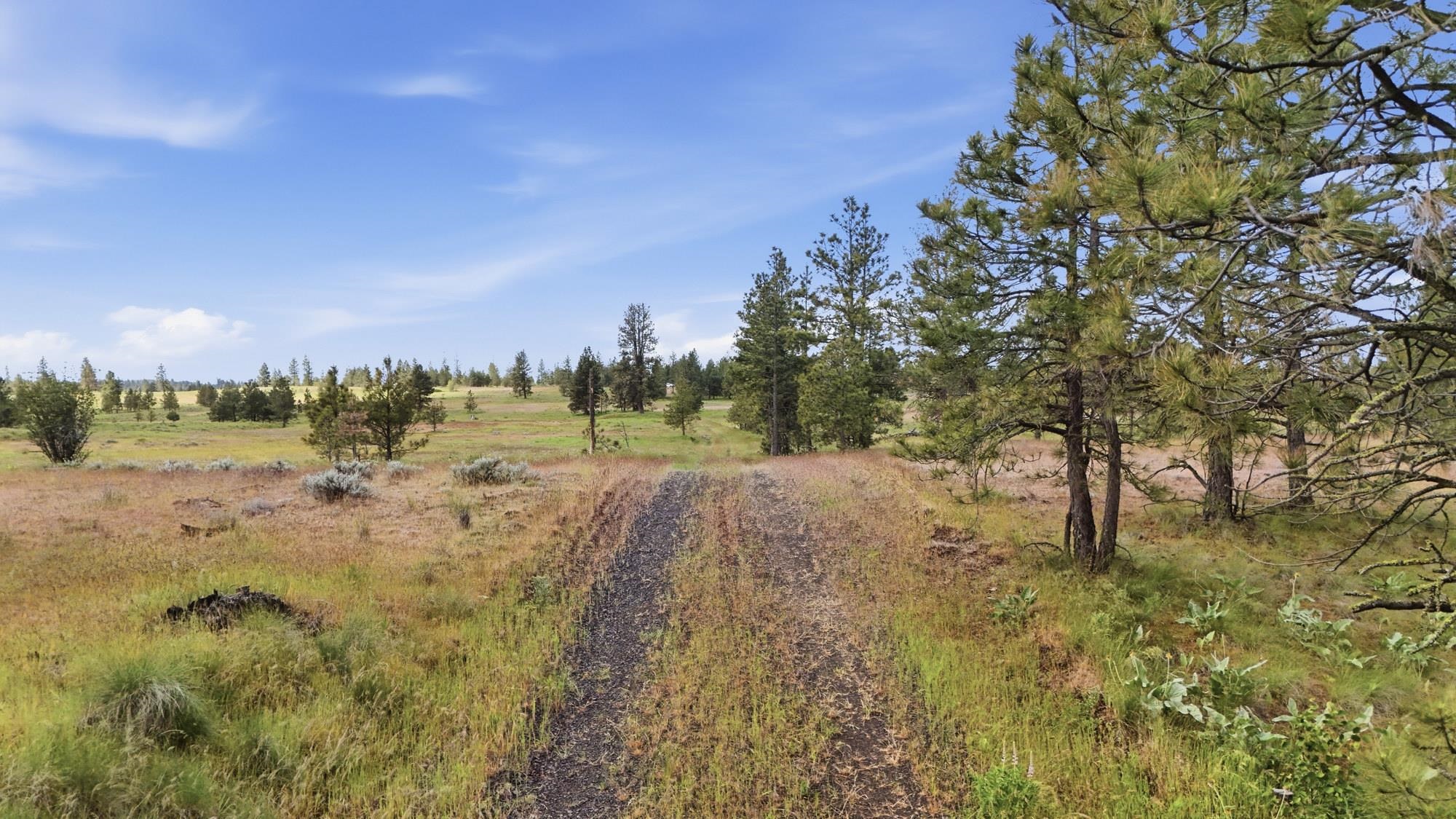 Tbd West Williams Lake Road Cheney, WA 99004 - Photo 22 of 23
