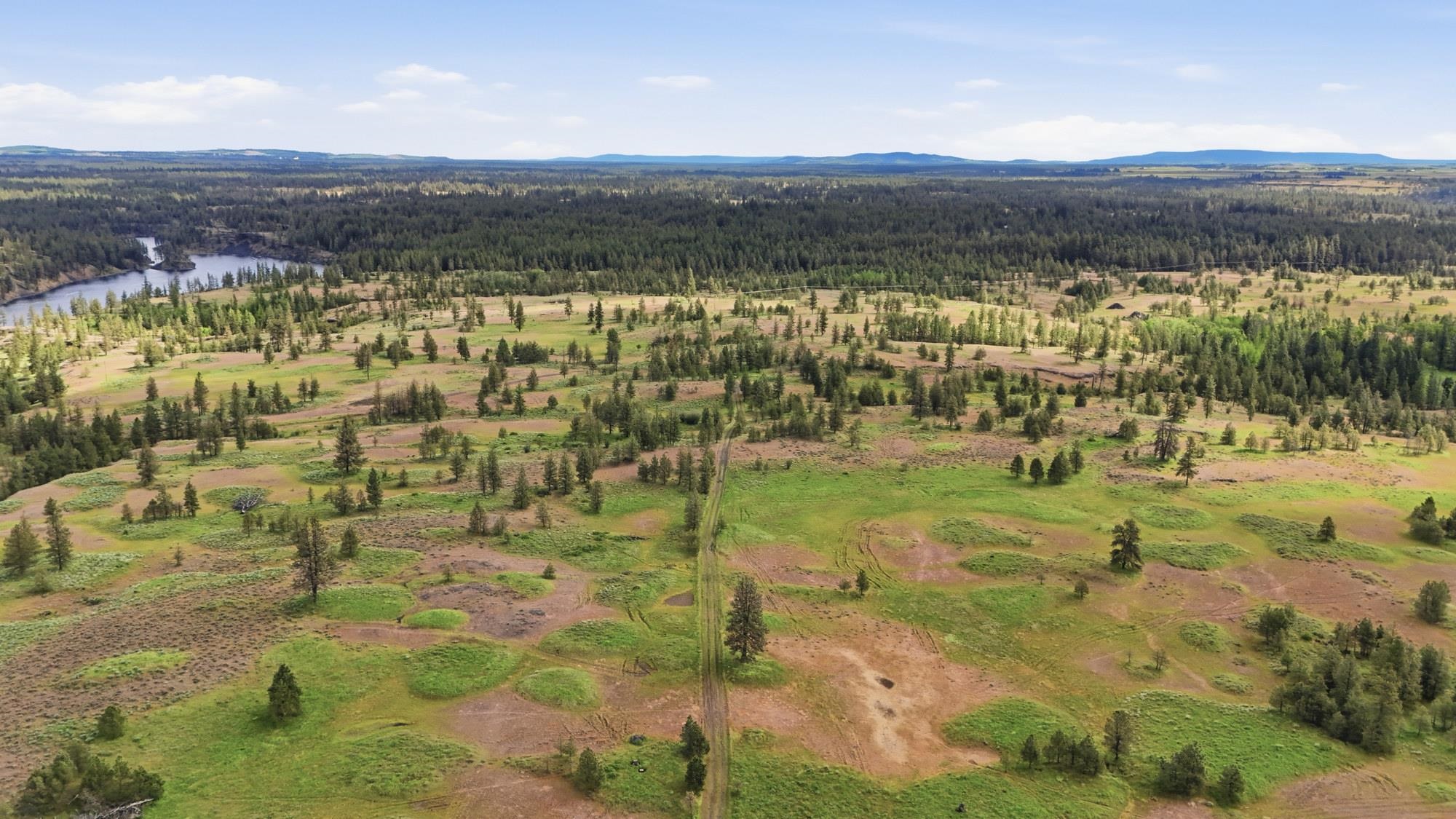 Tbd West Williams Lake Road Cheney, WA 99004 - Photo 23 of 23
