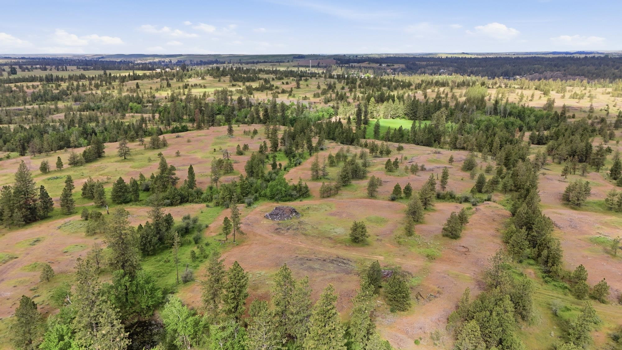 Tbd West Williams Lake Road Cheney, WA 99004 - Photo 10 of 23