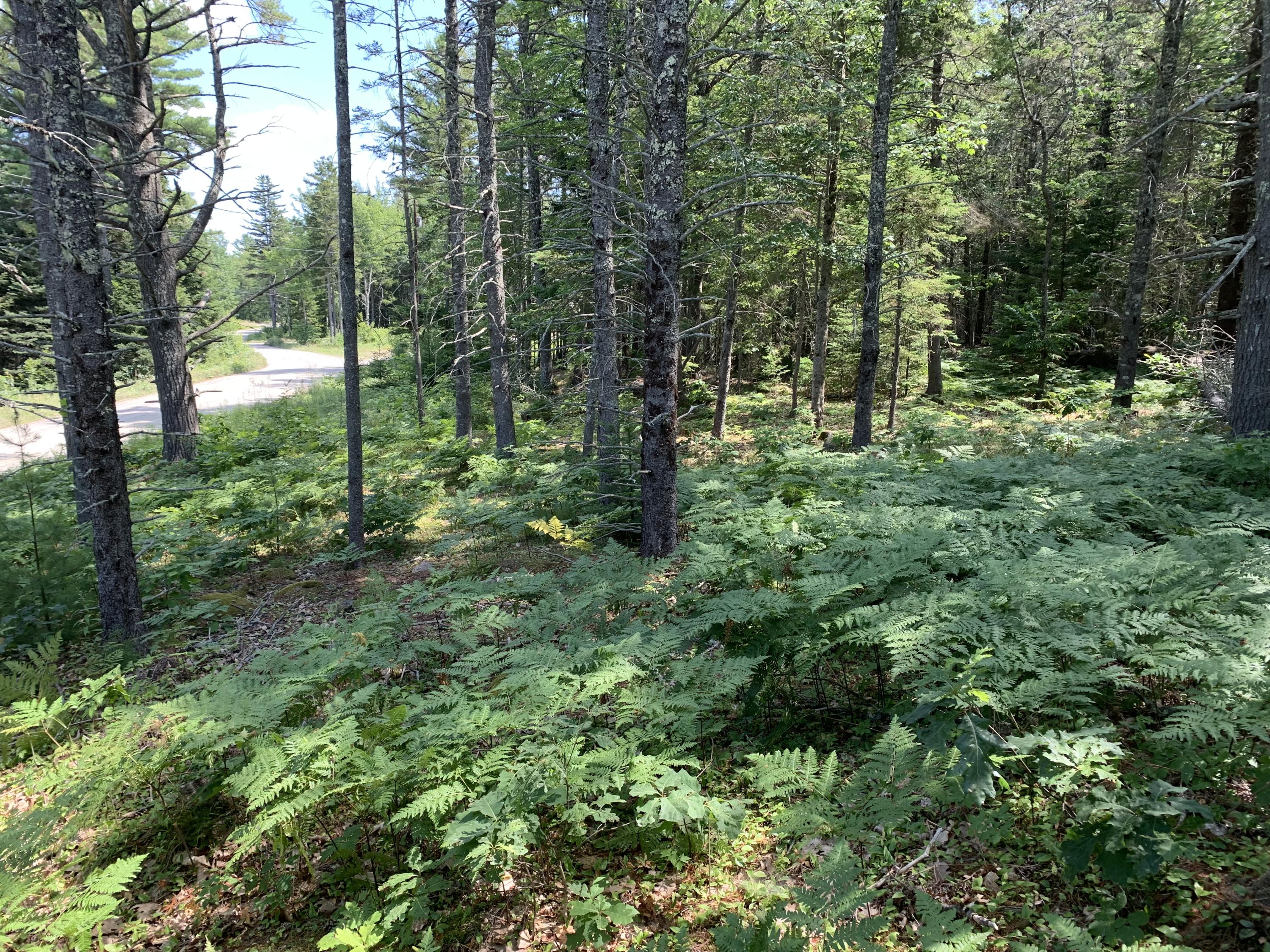 15 Orchard Road Bar Harbor, ME 04609 - Photo 12 of 14 F258D522-397C-4EDD-BE2F-74928B70E4DA