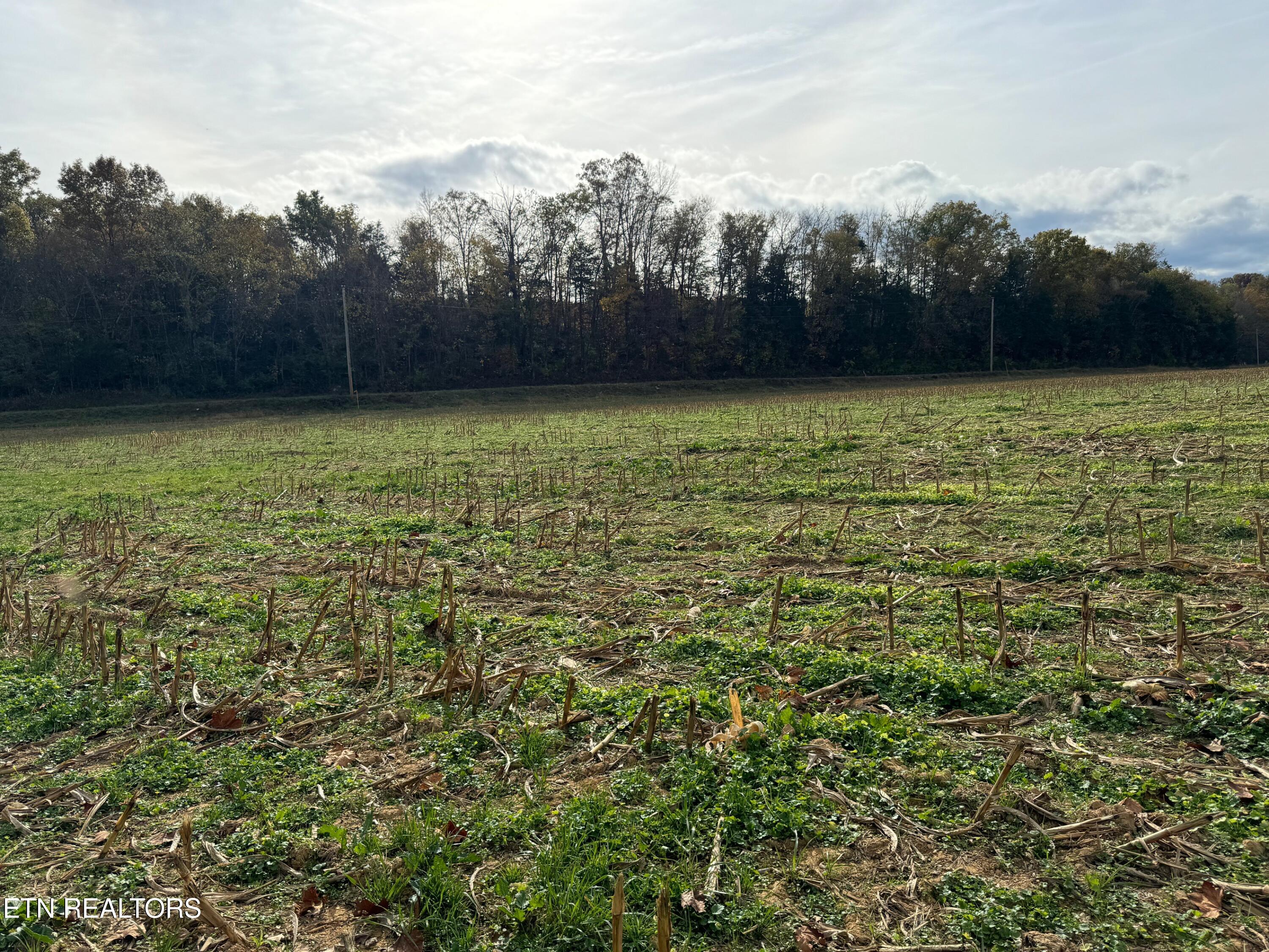 0 Clear Creek Road Newport, TN 37821 - Photo 12 of 19 IMG_2409