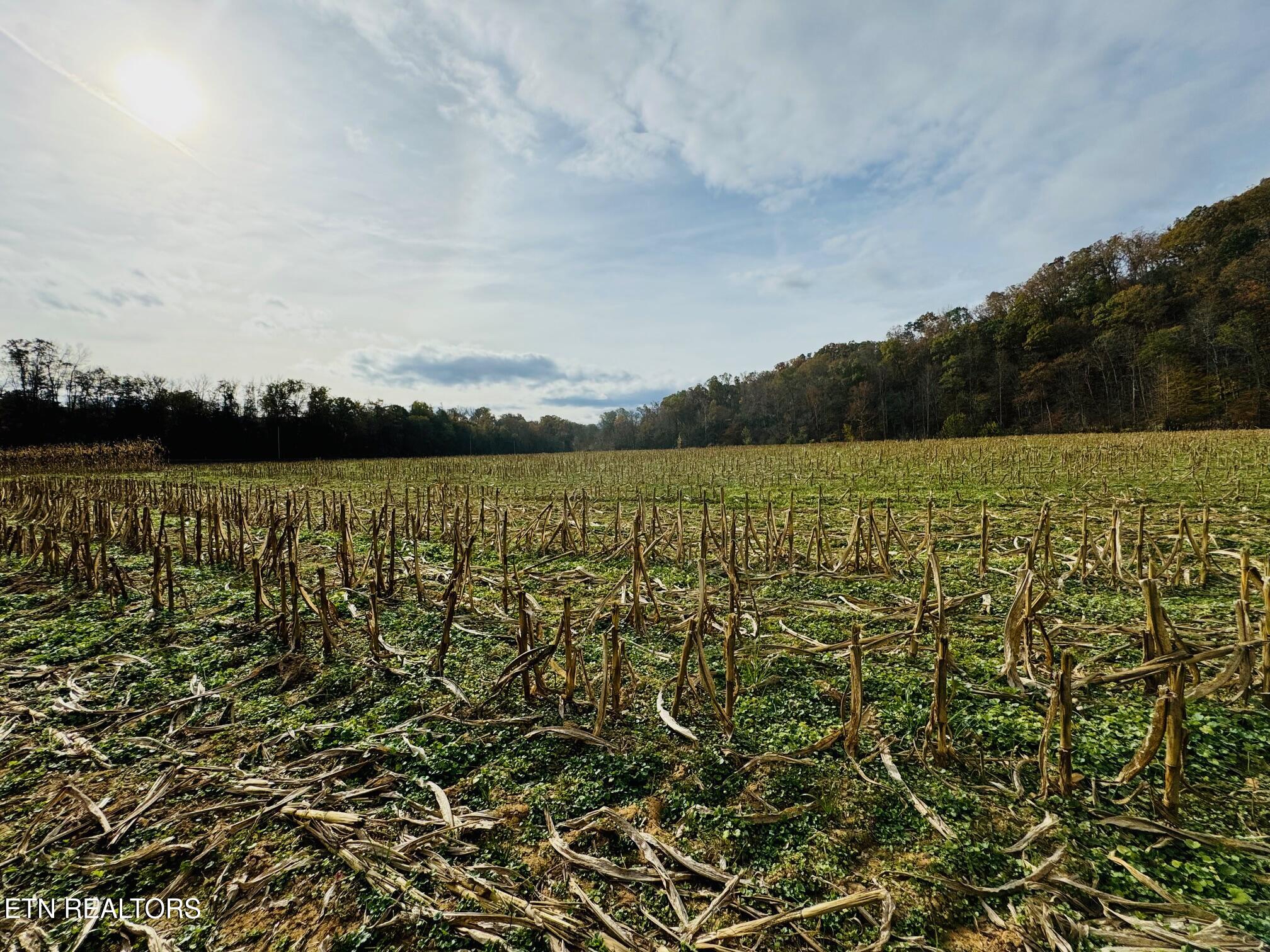 0 Clear Creek Road Newport, TN 37821 - Photo 13 of 19 IMG_2407