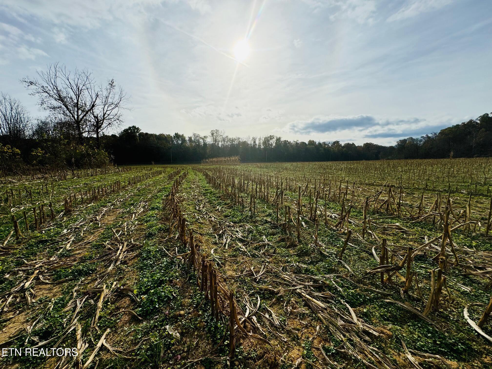 0 Clear Creek Road Newport, TN 37821 - Photo 17 of 19 IMG_2406