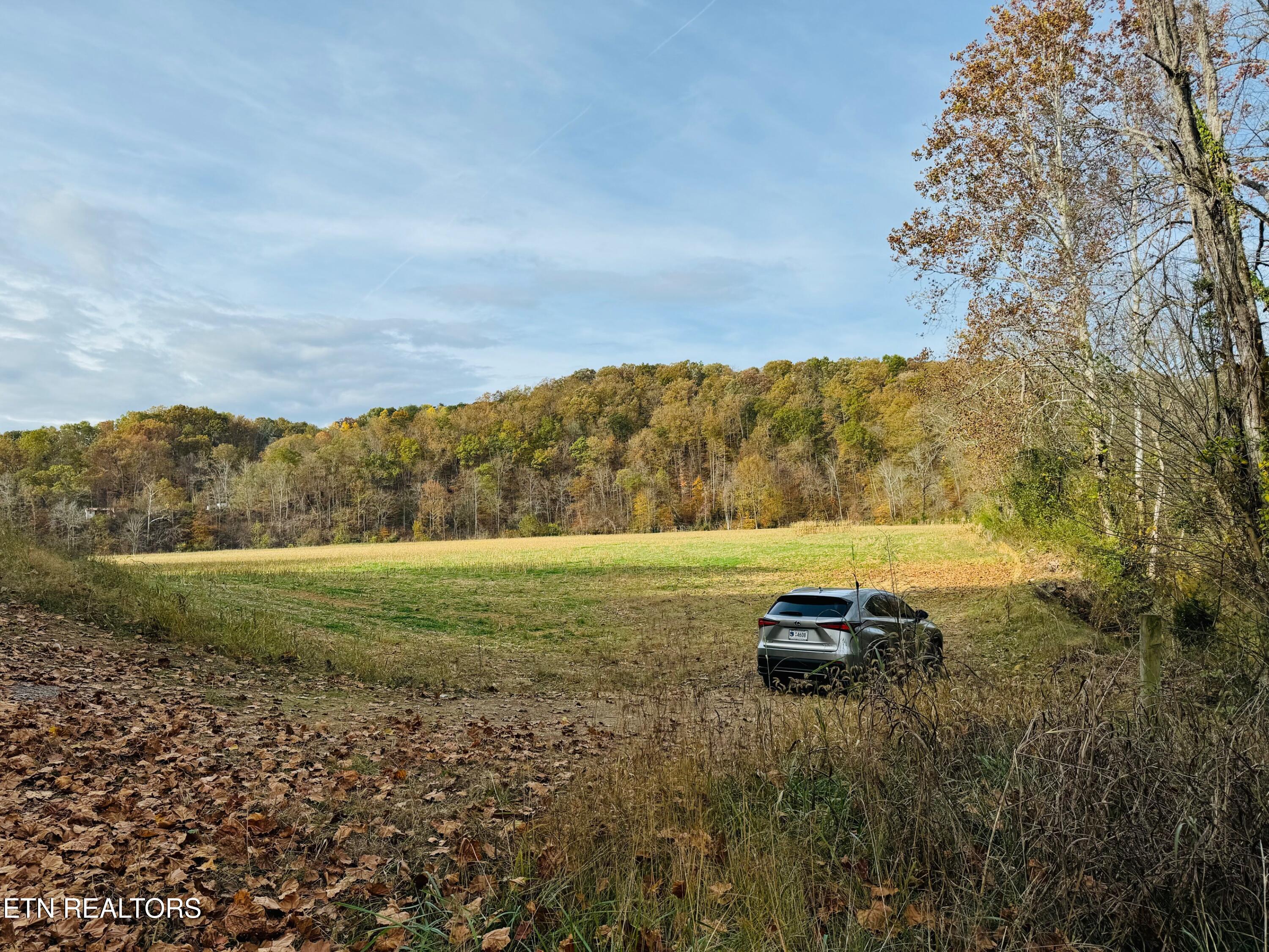 0 Clear Creek Road Newport, TN 37821 - Photo 18 of 19 IMG_2375 (1)