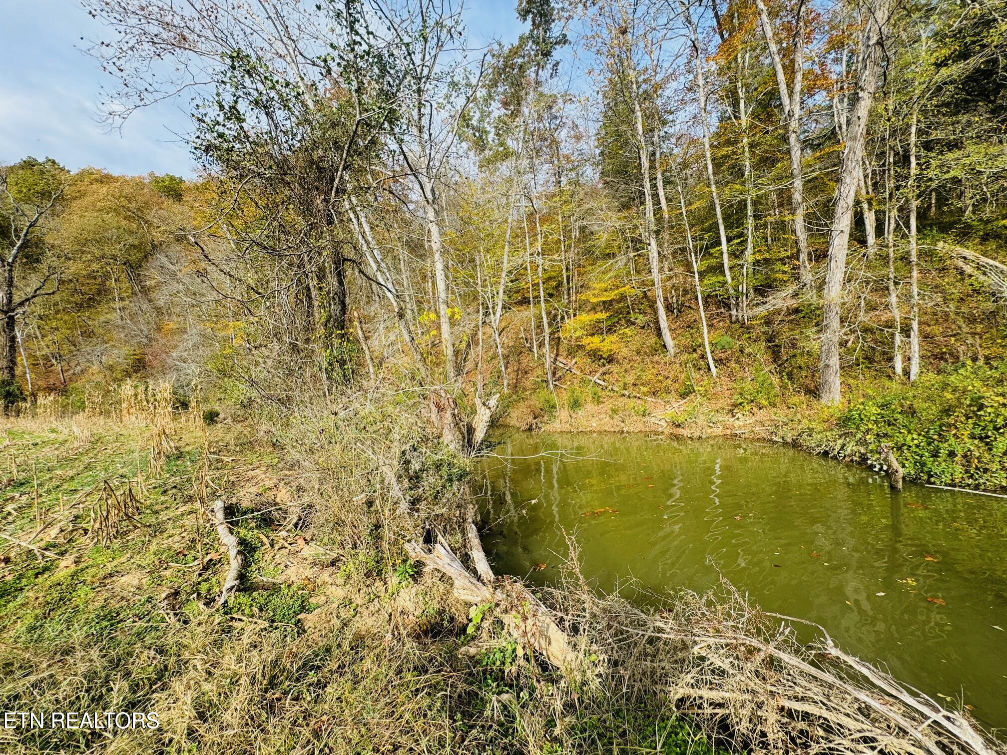 0 Clear Creek Road Newport, TN 37821 - Photo 4 of 19 IMG_2397 (1)