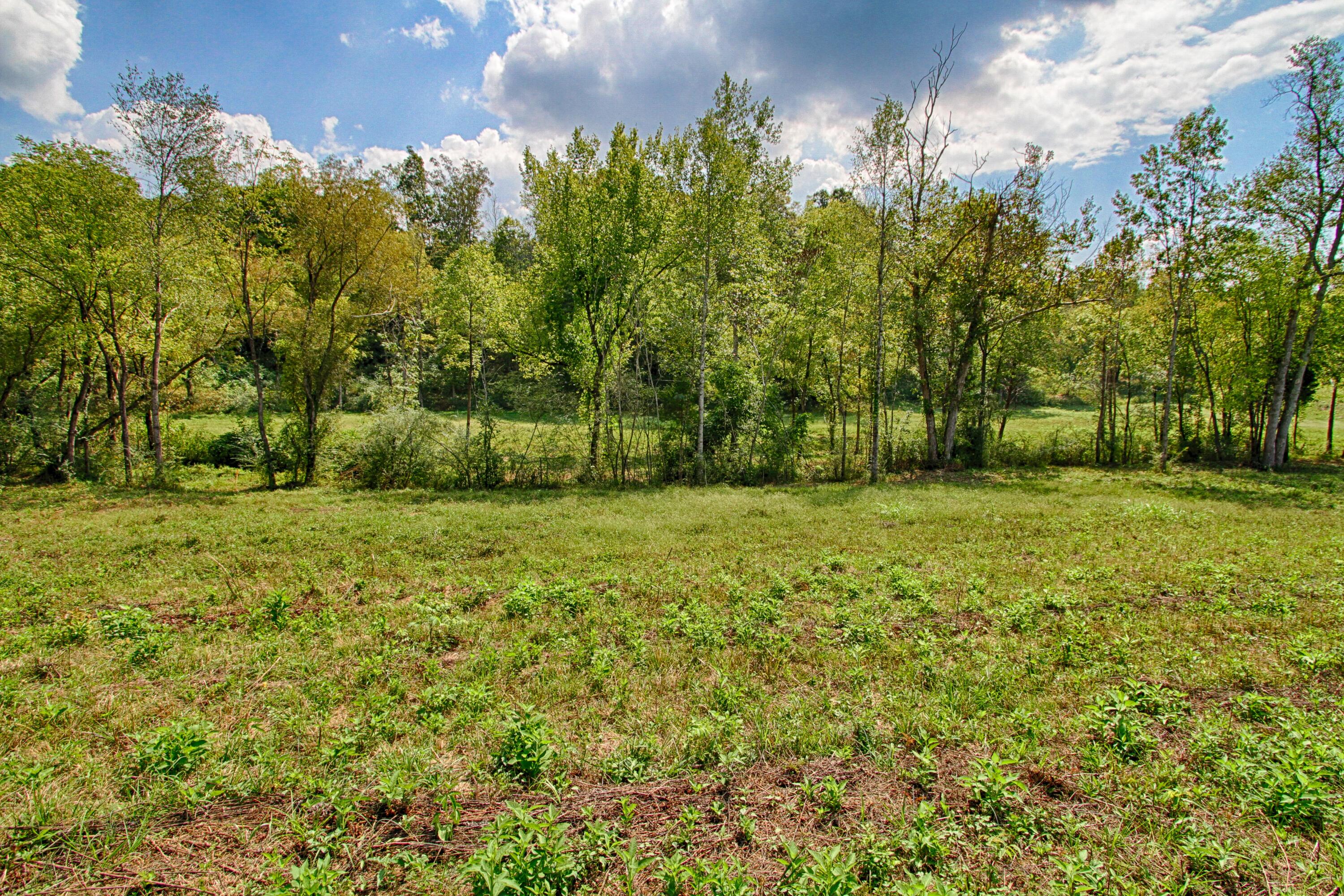 Lot 4 West Wolf Valley Road Clinton, TN 37716 - Photo 1 of 4 Lot 4 W Wolf Valley
