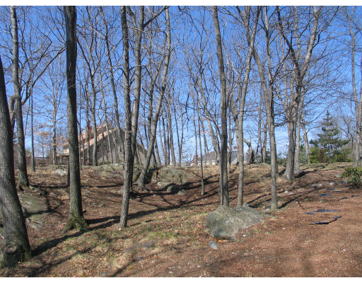 0 Wagon Wheel Road Winchester, MA 01890 - Photo 1 of 1 Gallery Image 1
