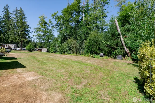 a view of yard with trees