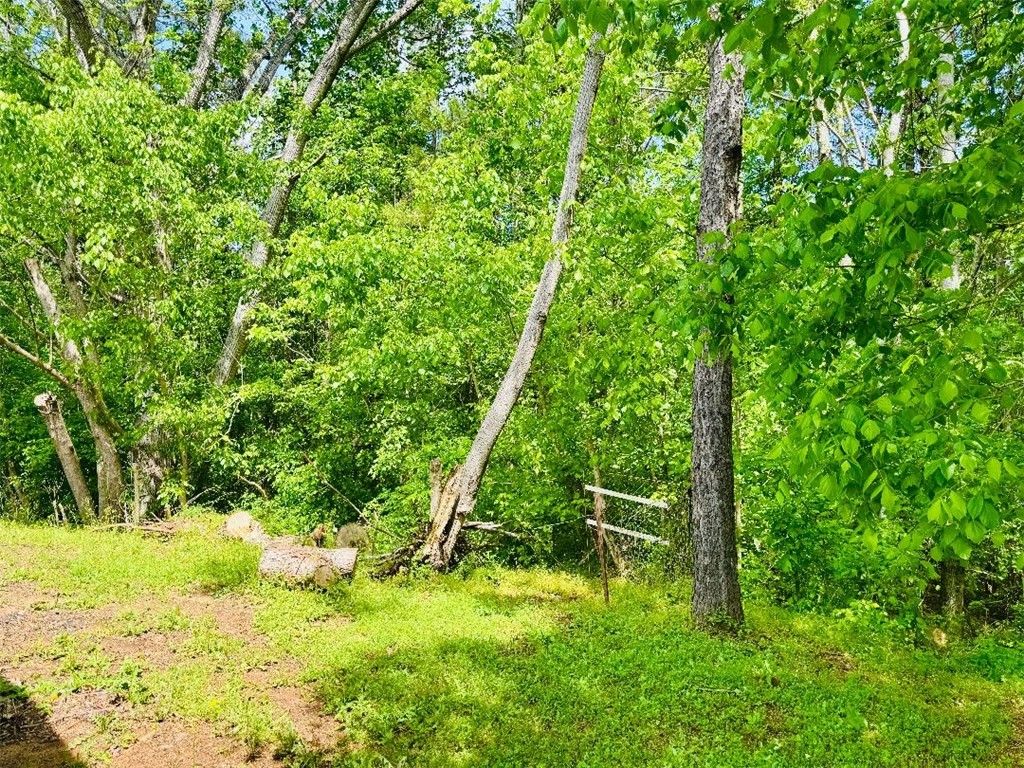 141 Dutchman Road Abbeville, SC 29620 - Photo 17 of 21 BACKYARD