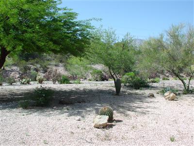 6953 East Rivercrest Road Tucson, AZ 85750 - Photo 7 of 9 Gallery Image 7