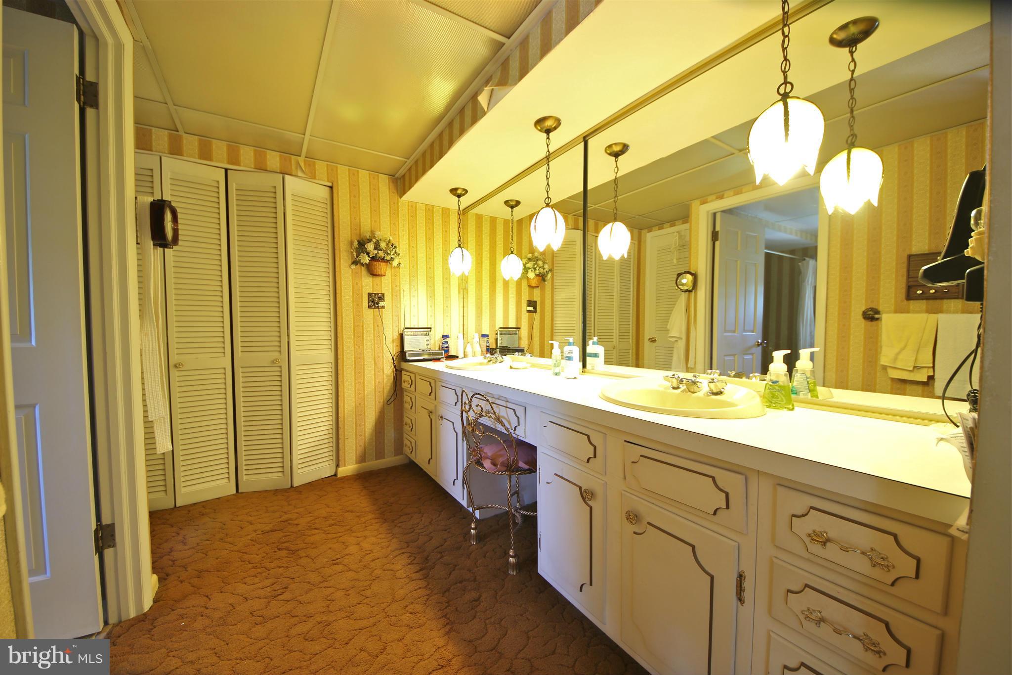 9210 Nottingwood Road Baltimore, MD 21237 - Photo 15 of 30 Bath (Master)