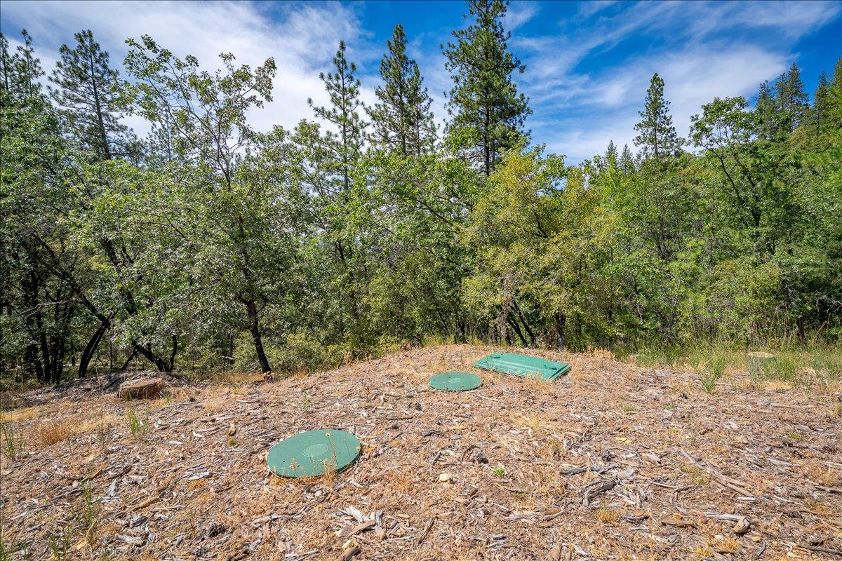 22600 Plumtree Road Colfax, CA 95713 - Photo 19 of 37