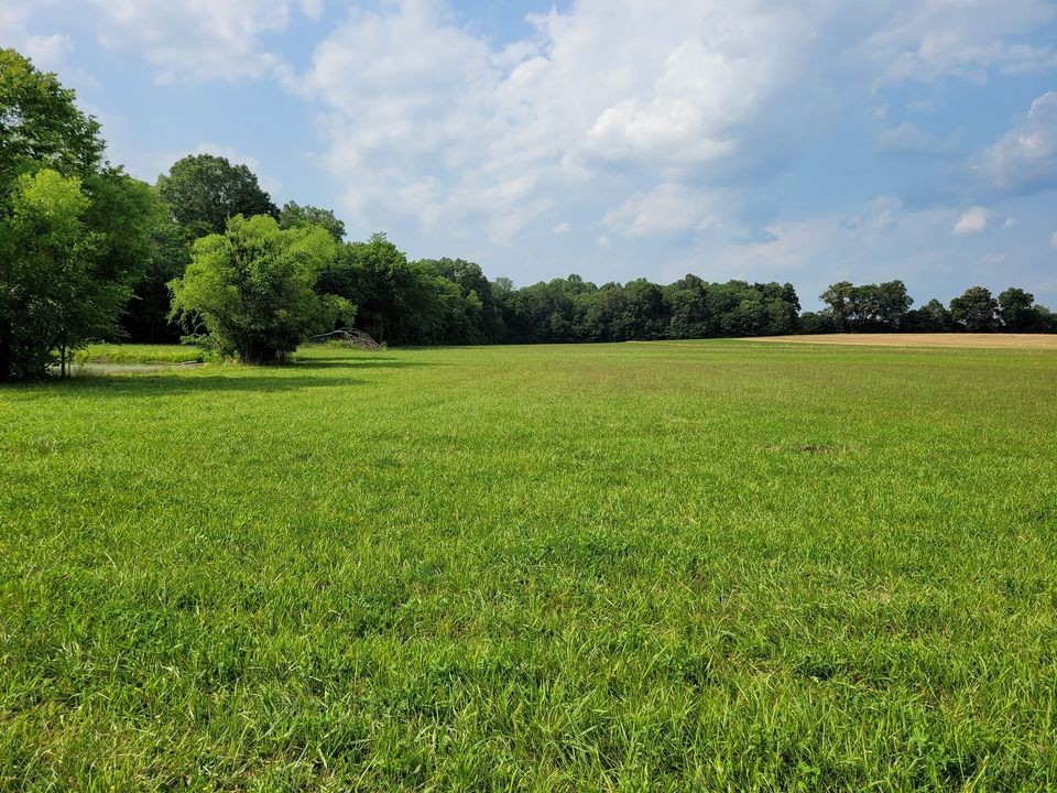 1 Shady Grove Road Morrison, TN 37357 - Photo 1 of 2 a view of a field of grass and trees