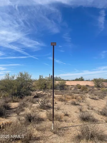 a view of a dry yard with green space