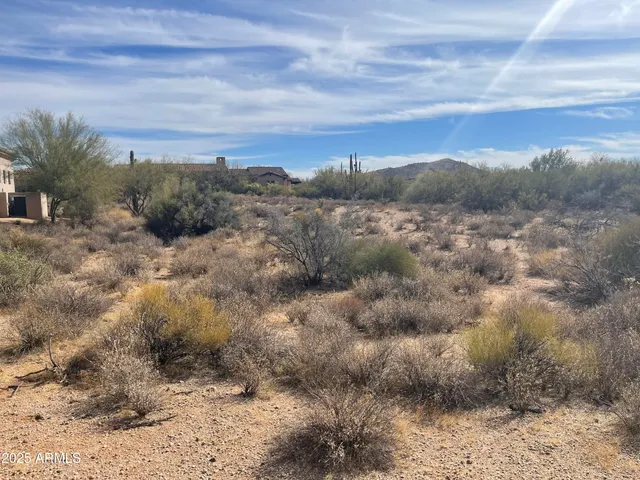 a view of a bunch of trees in a field