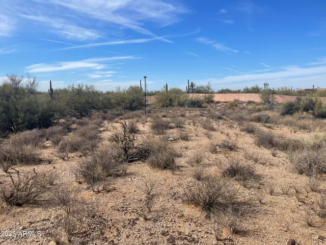 a view of a dry yard with trees