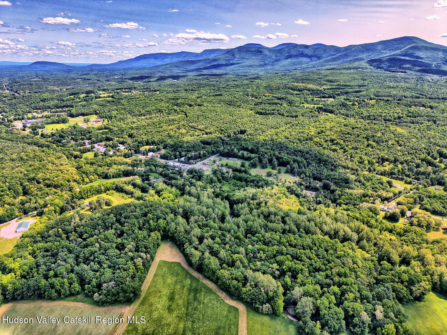 360 Stone Bridge Rd Extension East Durham, NY 12423 - Photo 72 of 83 a view of a lush green forest with mountains in the background