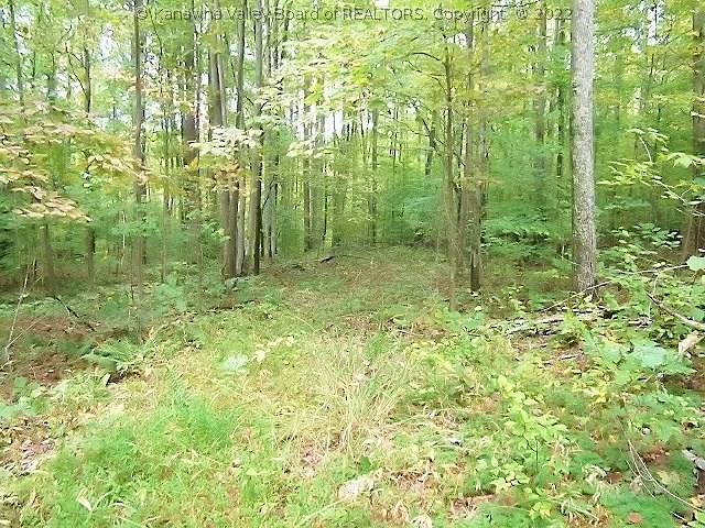 0 Big Pigeon Road Amma, WV 25005 - Photo 26 of 28 Gallery Image 26