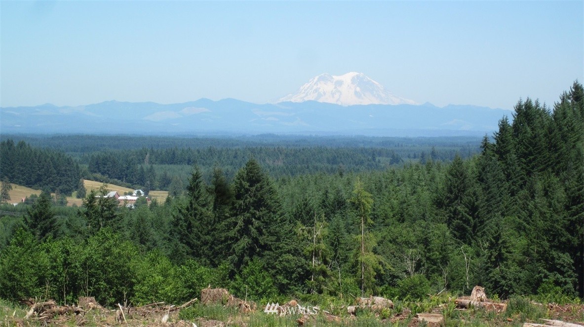 1 Jones Road Winlock, WA 98596 - Photo 1 of 25 Gallery Image 1