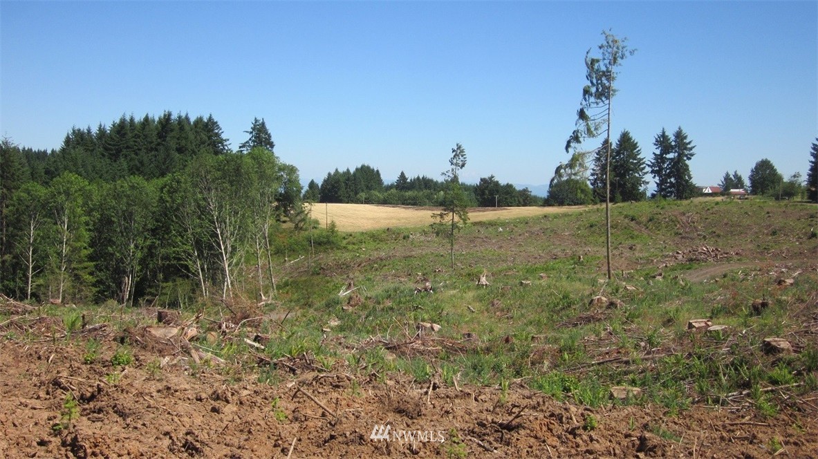 1 Jones Road Winlock, WA 98596 - Photo 2 of 25 Gallery Image 2