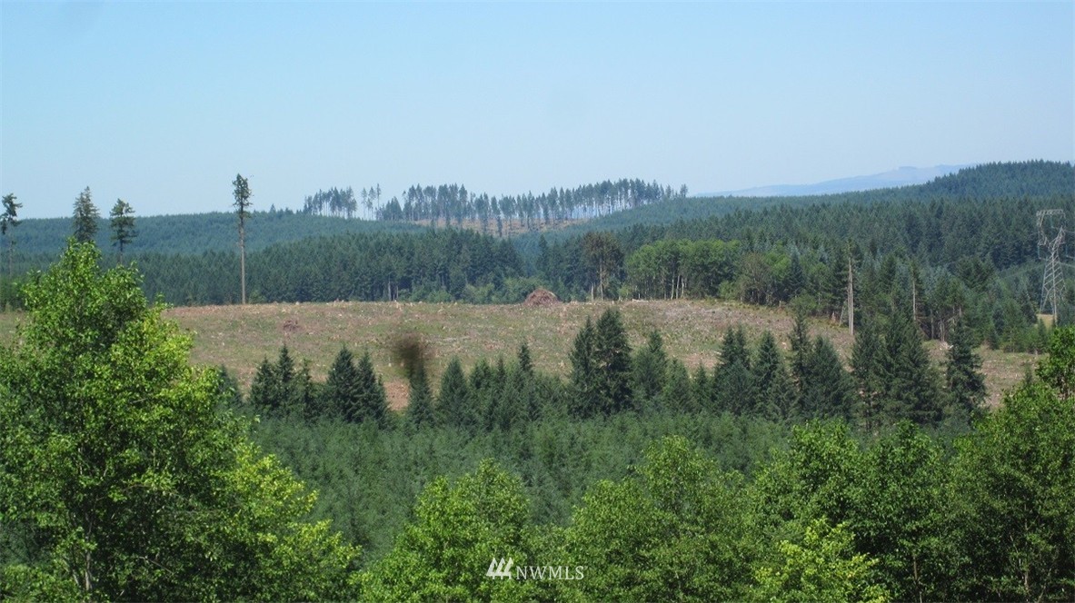 1 Jones Road Winlock, WA 98596 - Photo 3 of 25 Gallery Image 3