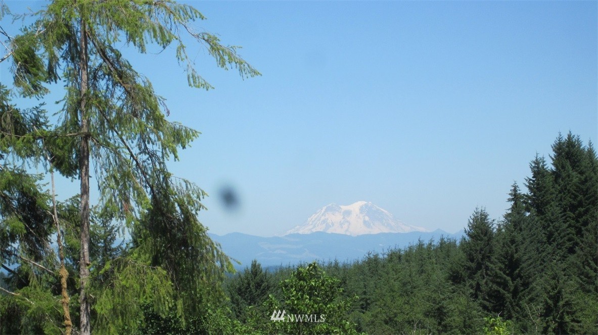 1 Jones Road Winlock, WA 98596 - Photo 4 of 25 Gallery Image 4