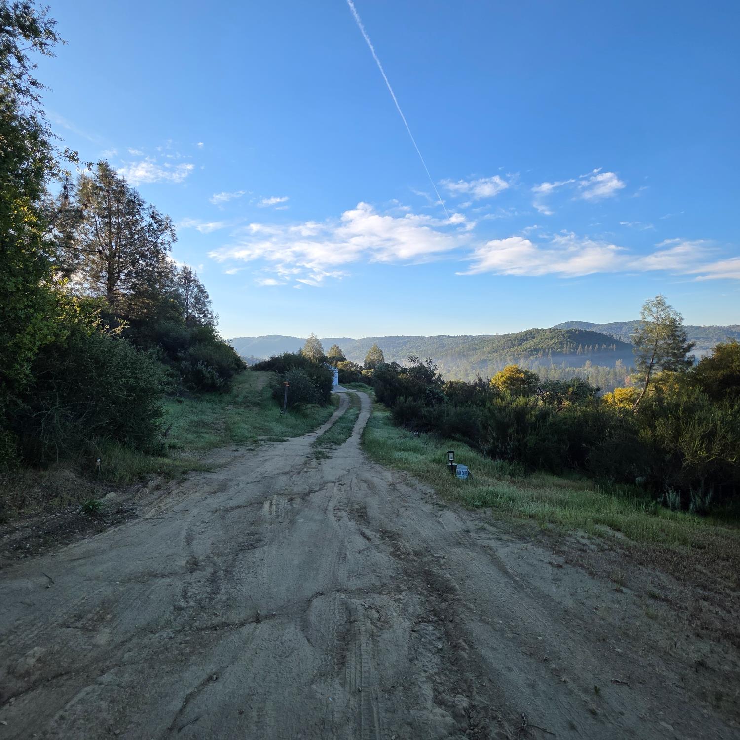 6600 Marshall Road Lotus, CA 95651 - Photo 21 of 32 a view of a dry yard with lots of green space