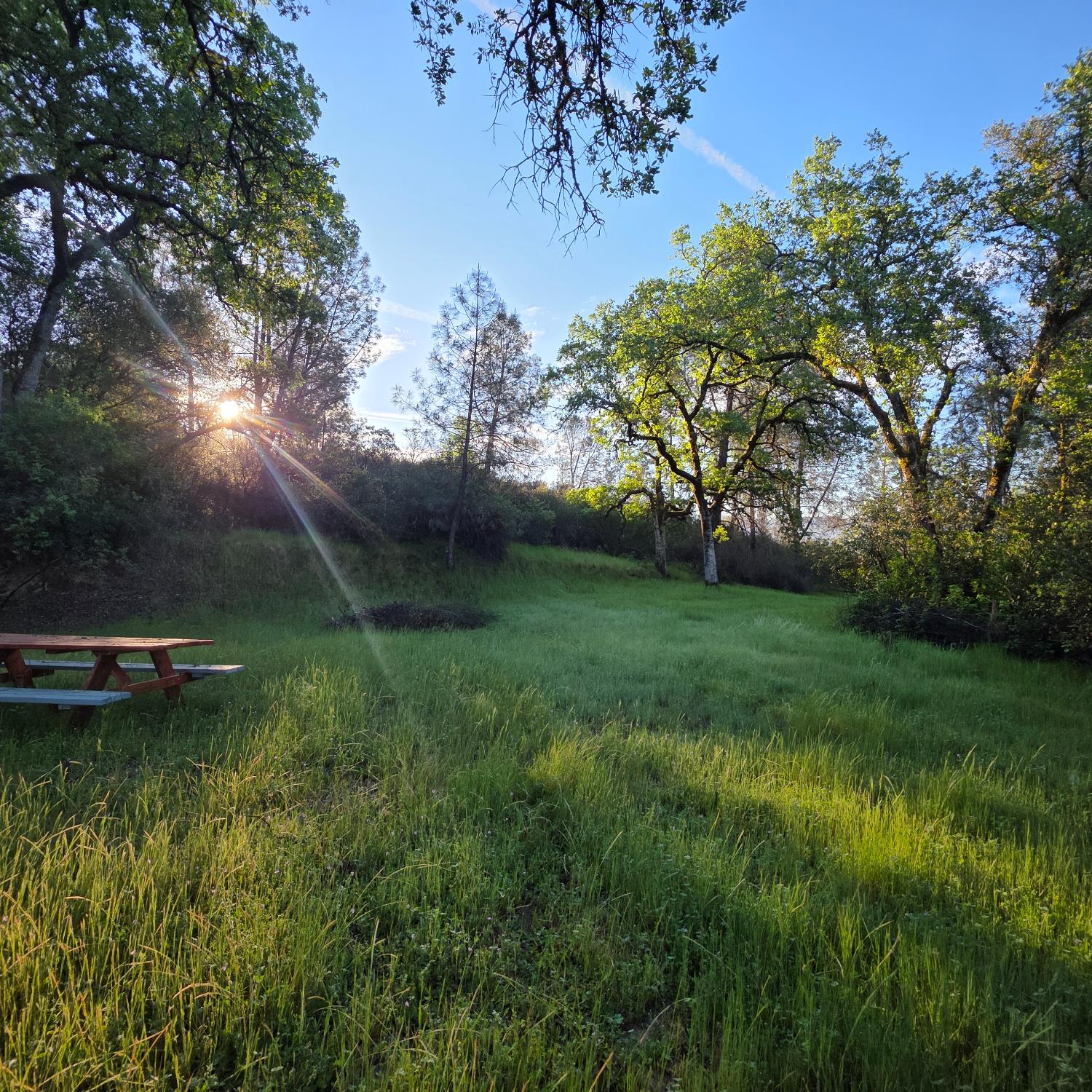 6600 Marshall Road Lotus, CA 95651 - Photo 23 of 32 a view of a lake with a yard