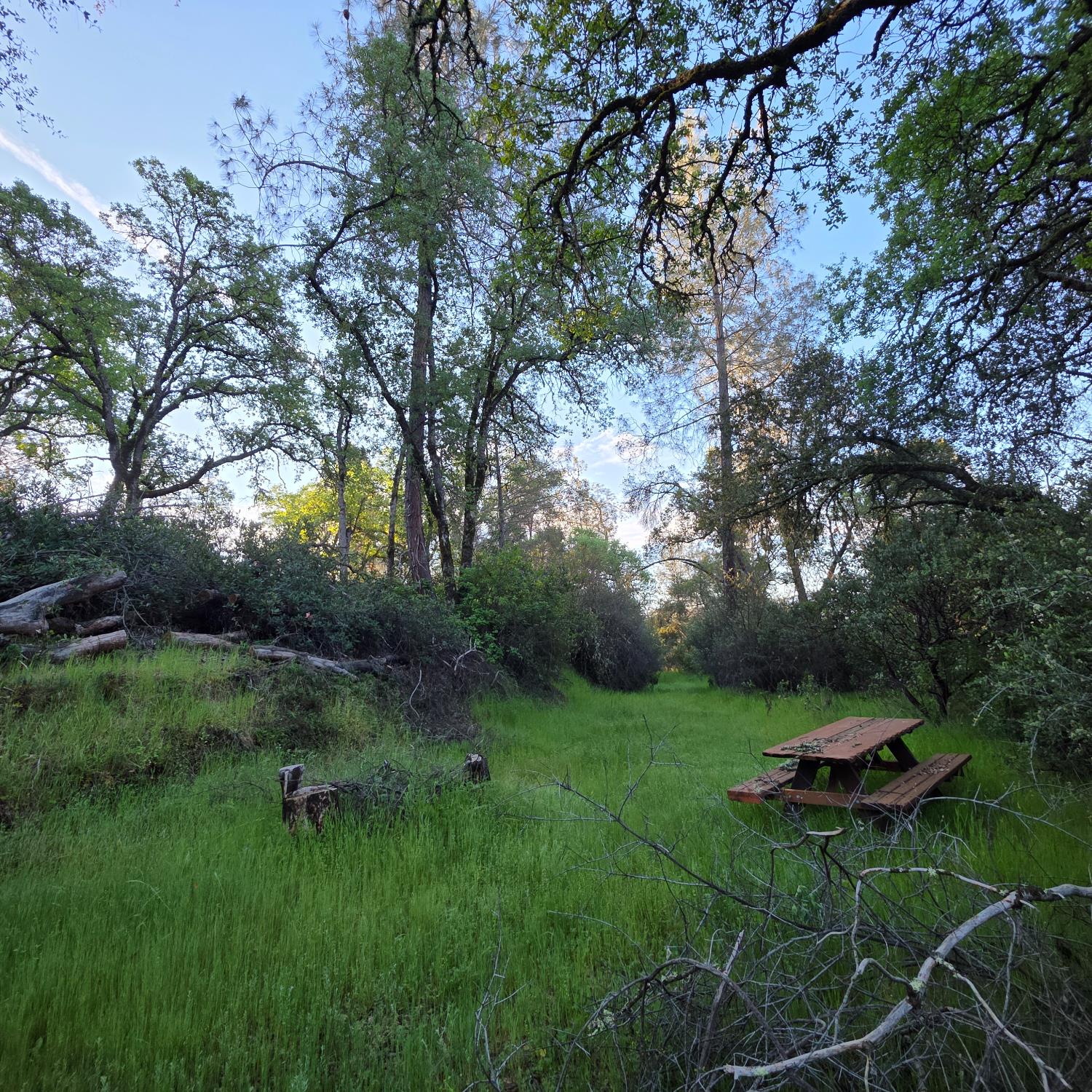 6600 Marshall Road Lotus, CA 95651 - Photo 24 of 32 a garden view