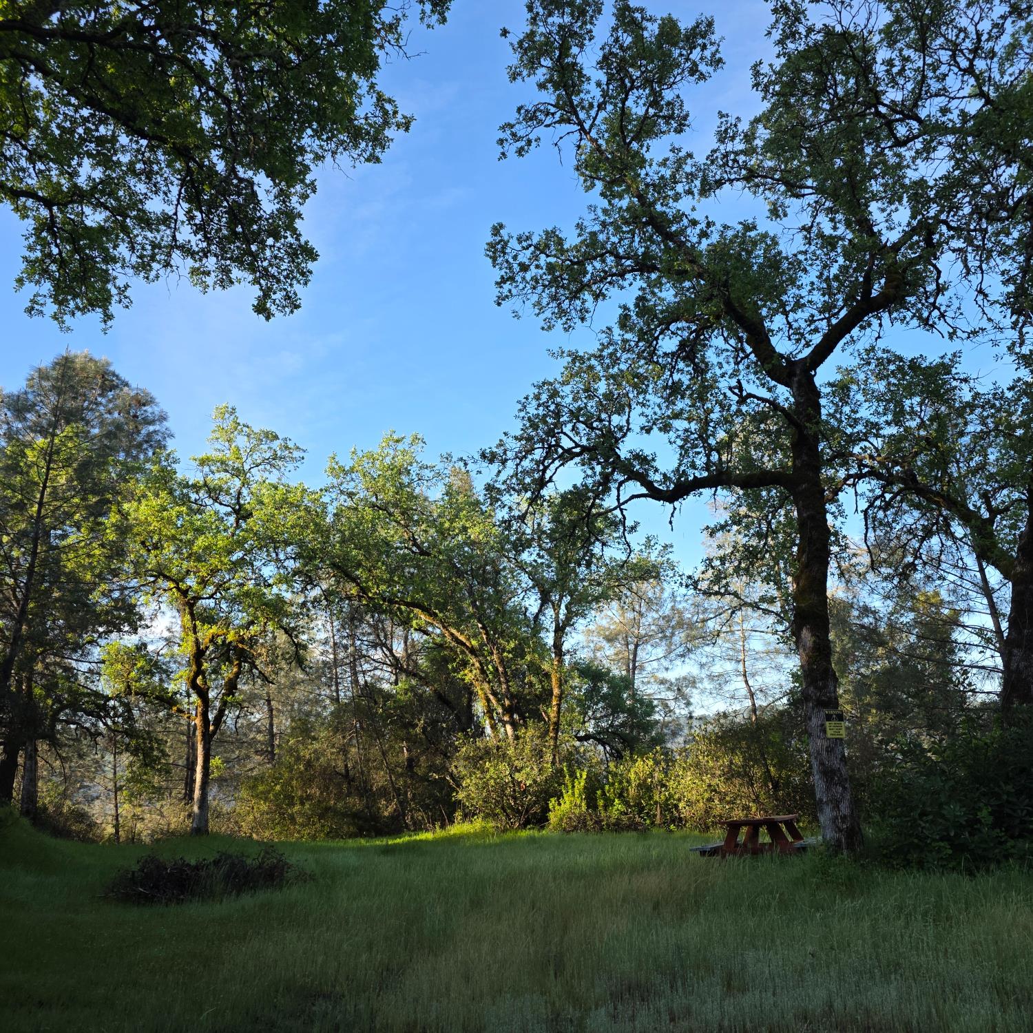 6600 Marshall Road Lotus, CA 95651 - Photo 27 of 32 a view of a field with a tree