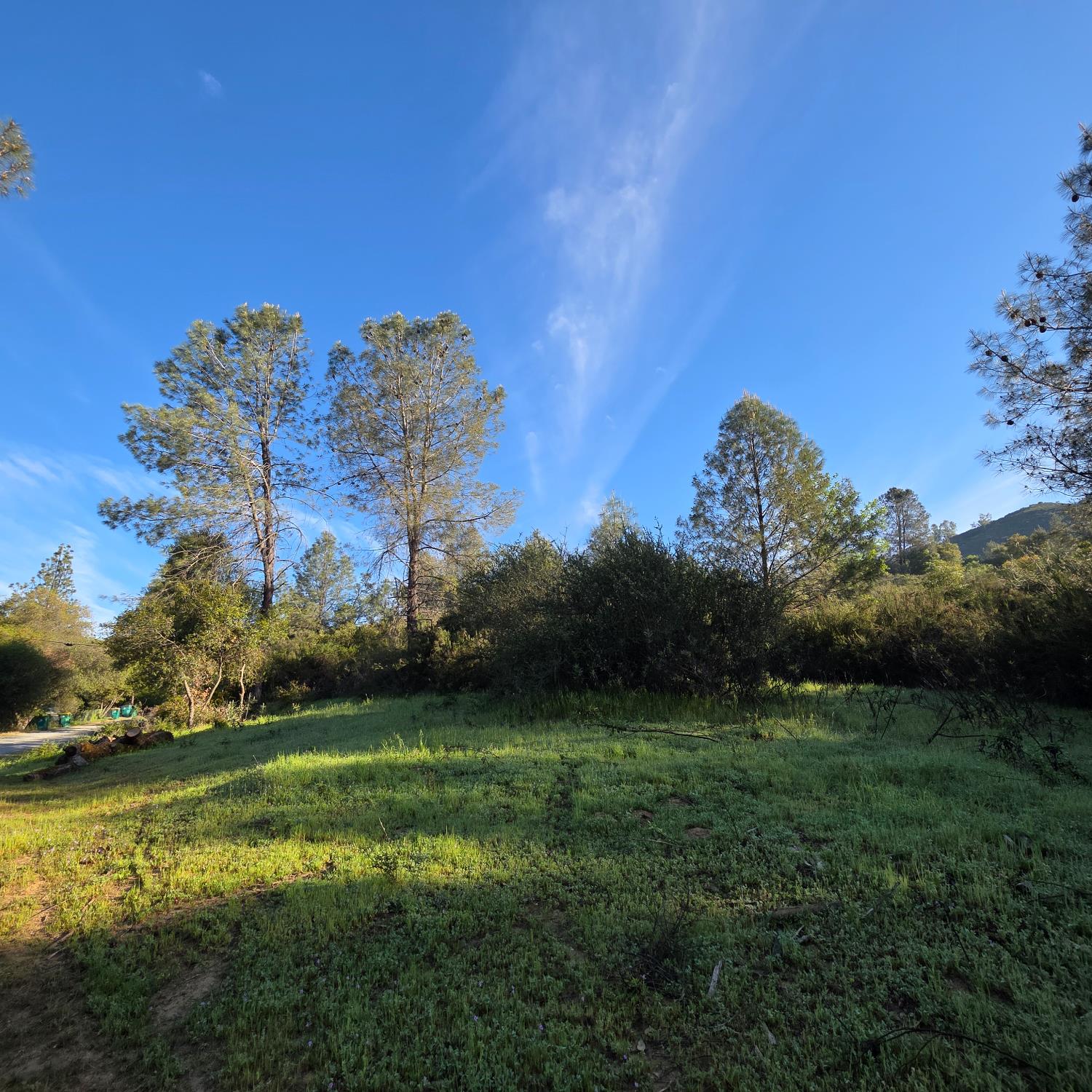 6600 Marshall Road Lotus, CA 95651 - Photo 31 of 32 a view of a golf course with a lake