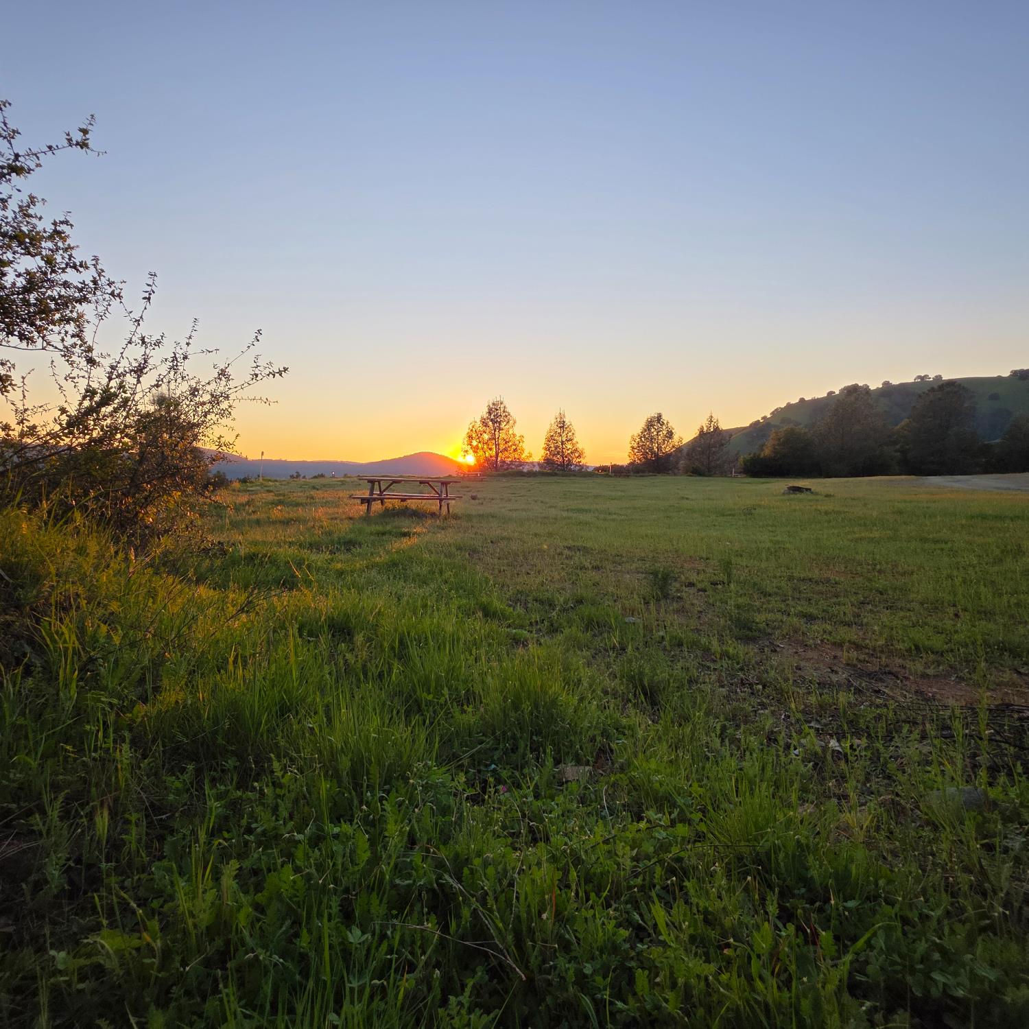 6600 Marshall Road Lotus, CA 95651 - Photo 4 of 32 a view of a field with an ocean