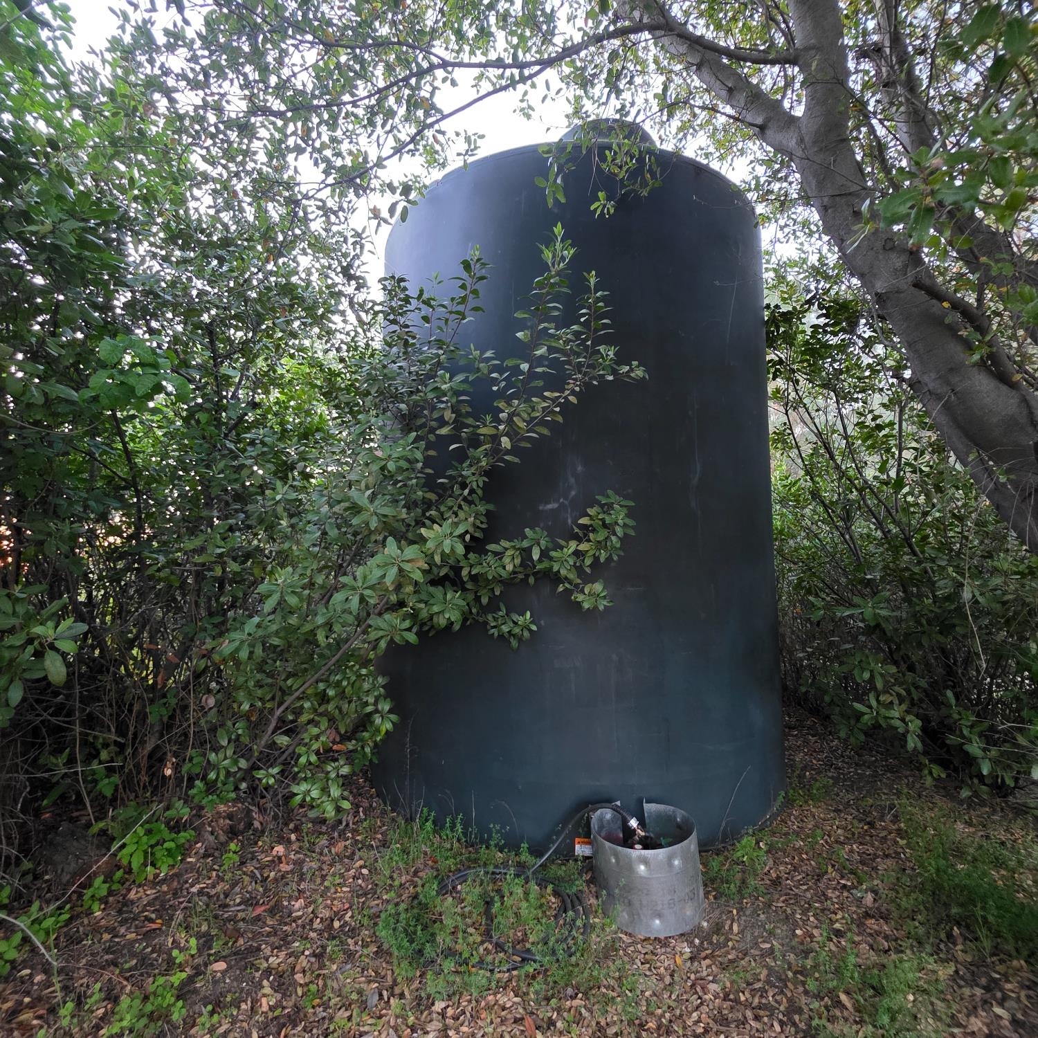 6600 Marshall Road Lotus, CA 95651 - Photo 6 of 32 a view of a plants in a garden
