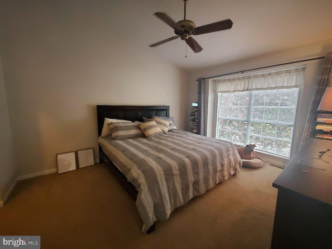 1479 Casino Circle Silver Spring, MD 20906 - Photo 11 of 24 a bedroom with a large bed and a large window