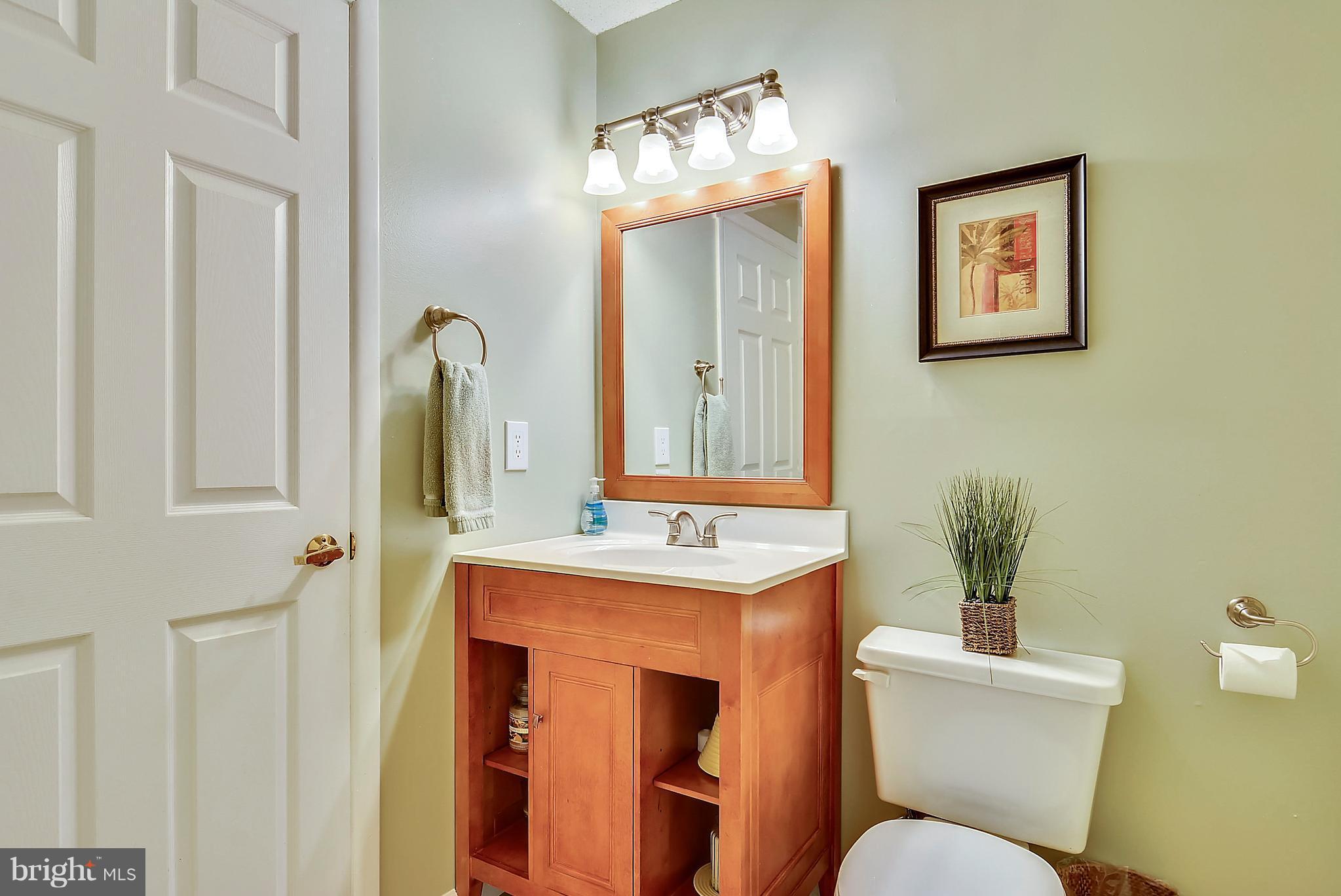 1417 Newport Spring Court Reston, VA 20194 - Photo 22 of 26 Remodeled Lower Level Full Bath