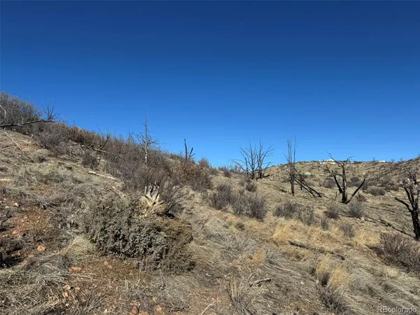 $12,000 | F Path, Cotopaxi, CO 81223