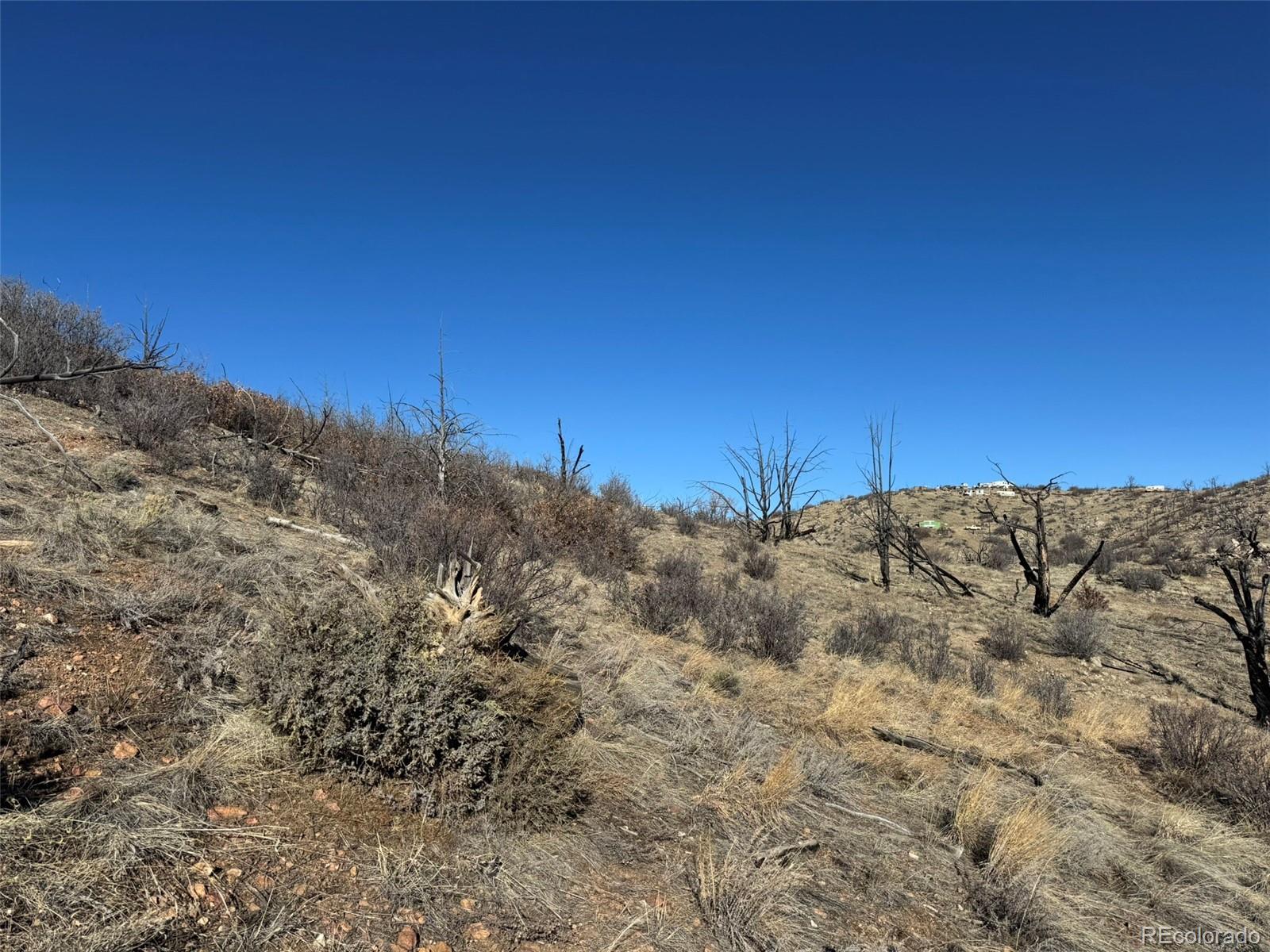 F Path Cotopaxi, CO 81223 - Photo 1 of 27 a view of a backyard of the house