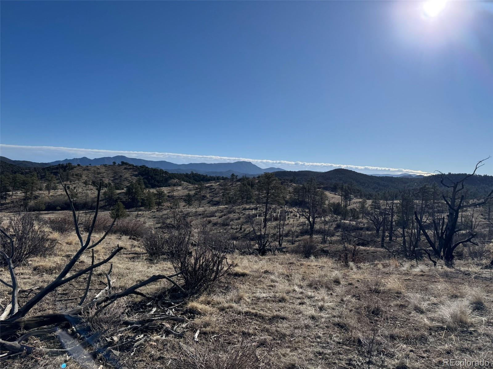 F Path Cotopaxi, CO 81223 - Photo 11 of 27 a view of a dry yard with wooden fence