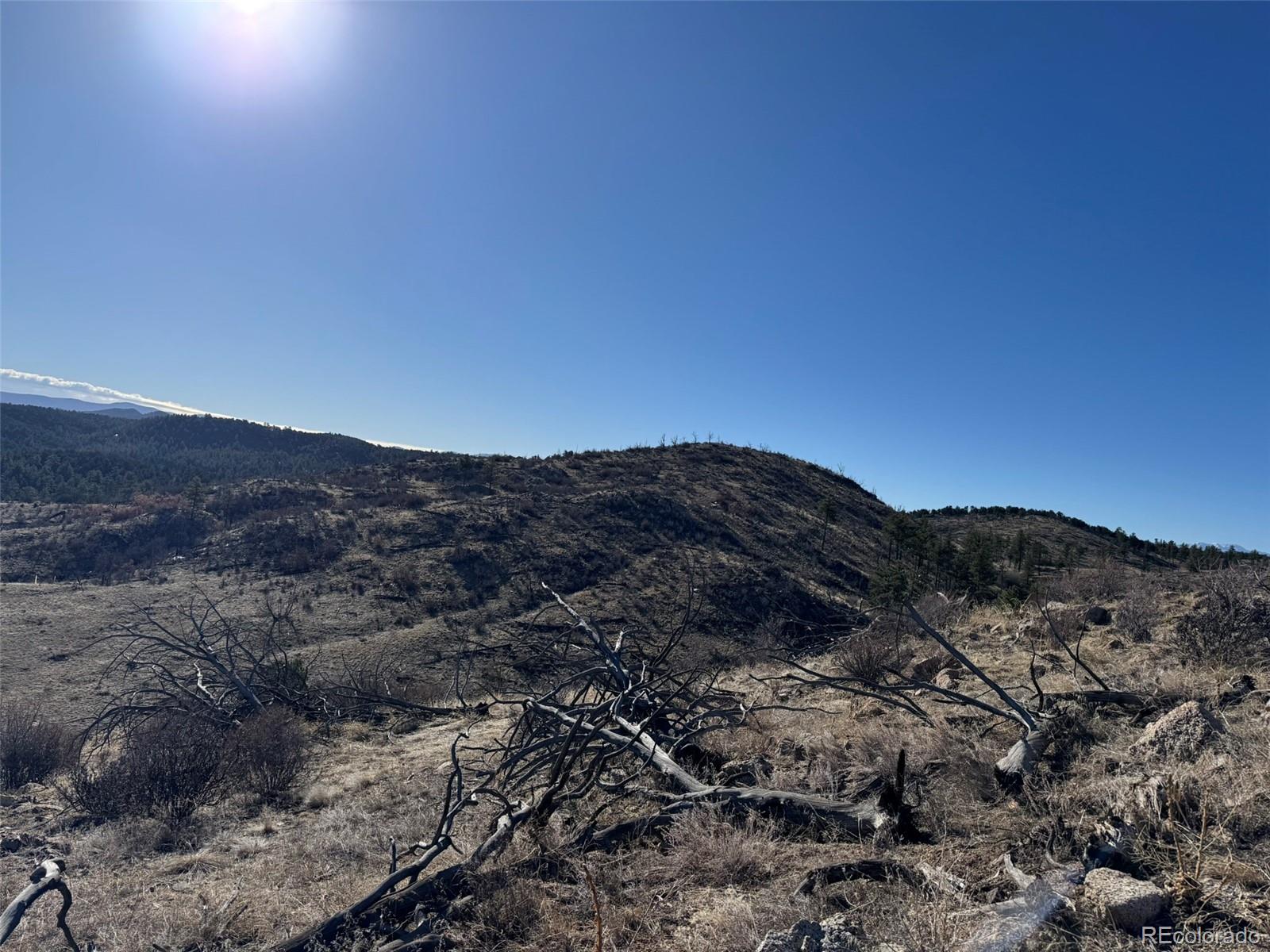 F Path Cotopaxi, CO 81223 - Photo 14 of 27